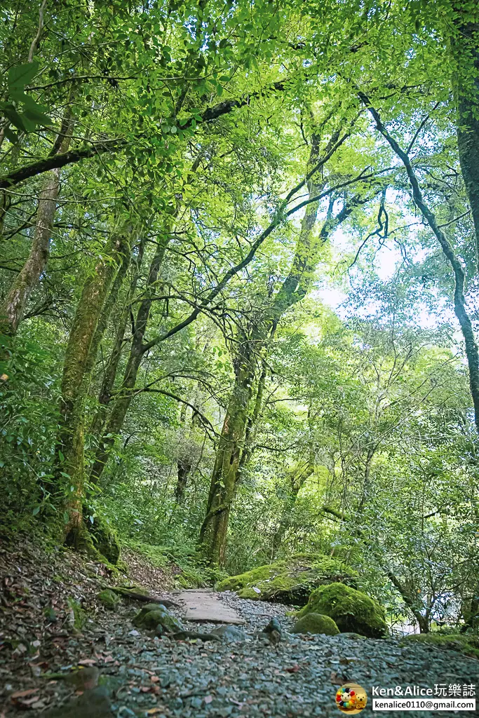 熊本景點-菊池溪谷