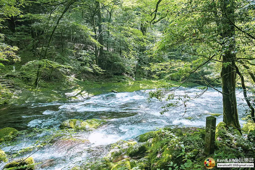 熊本景點-菊池溪谷