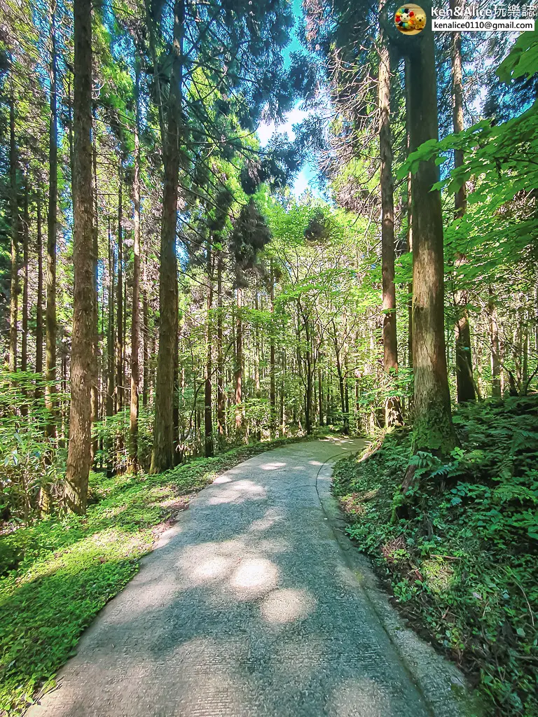 熊本景點-上色見熊野座神社