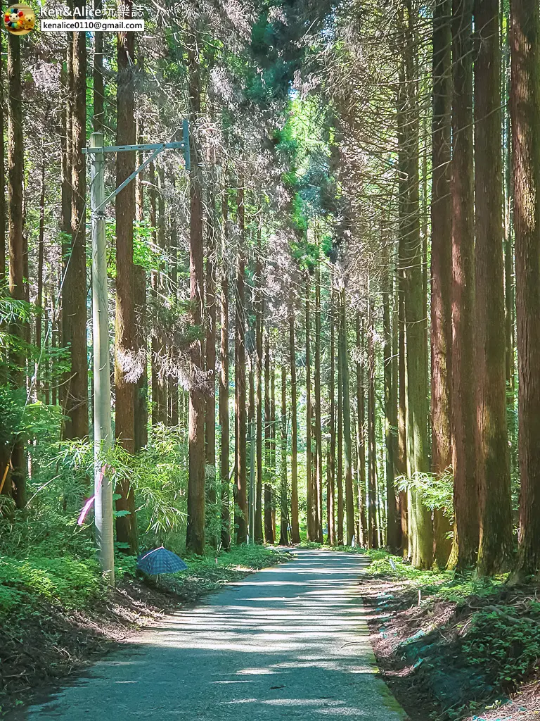 熊本景點-上色見熊野座神社