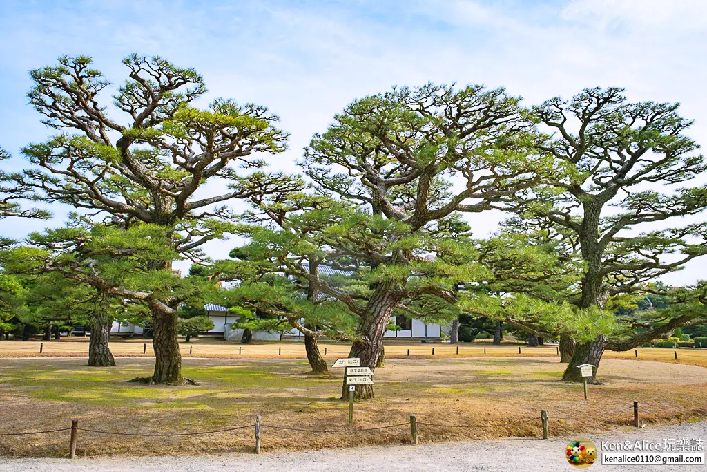 日本四國高松景點-栗林公園