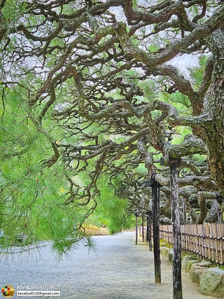 日本四國高松景點-栗林公園