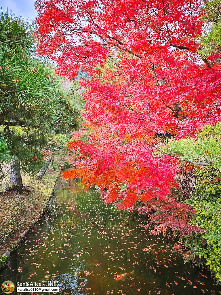 日本四國高松景點-栗林公園