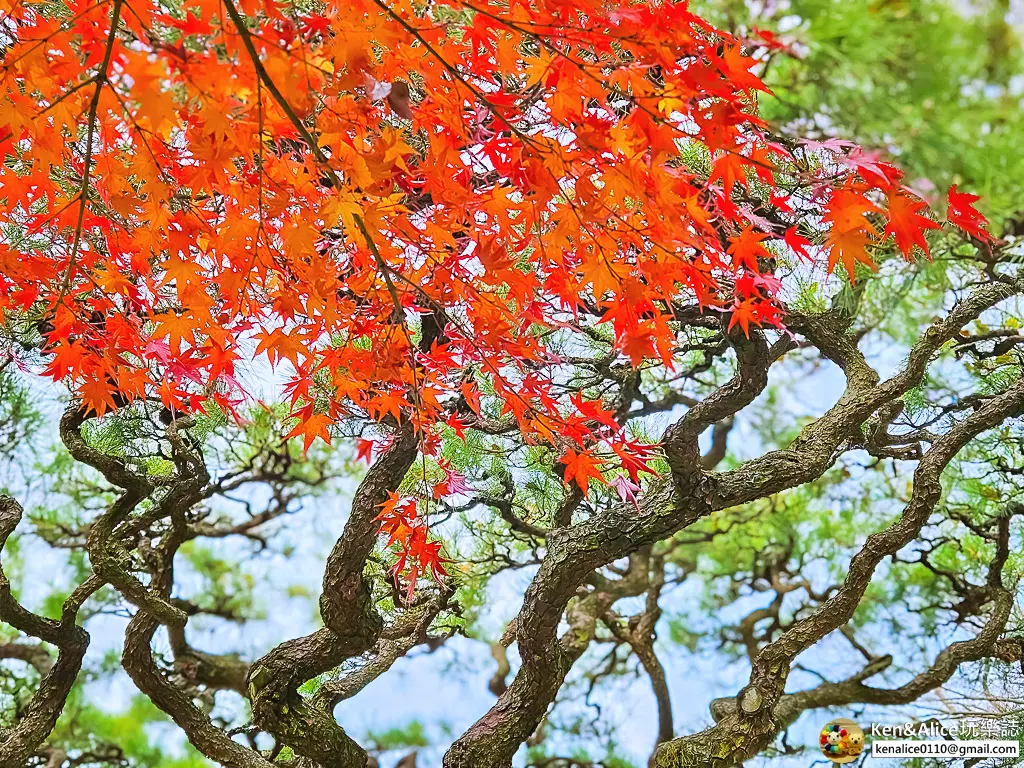 日本四國高松景點-栗林公園