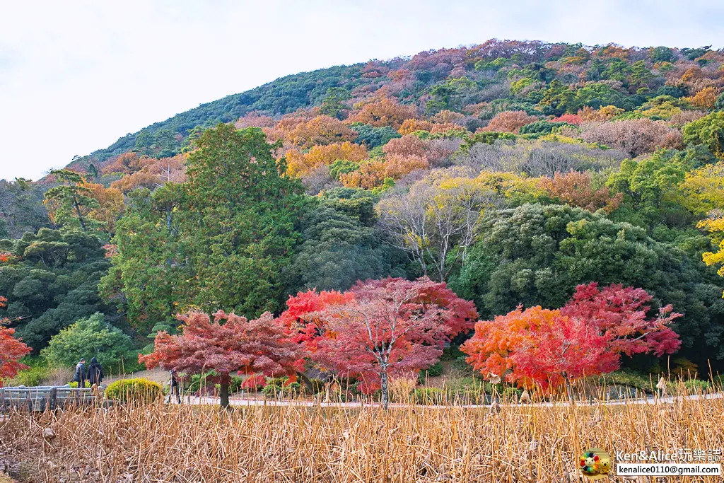 日本四國高松景點-栗林公園