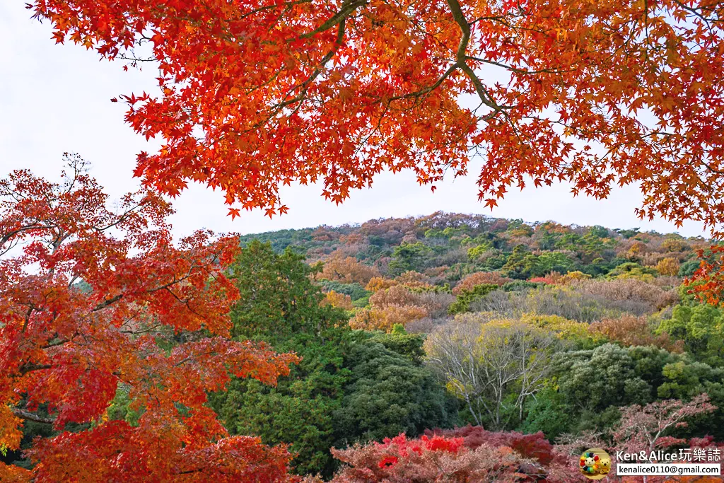 日本四國高松景點-栗林公園