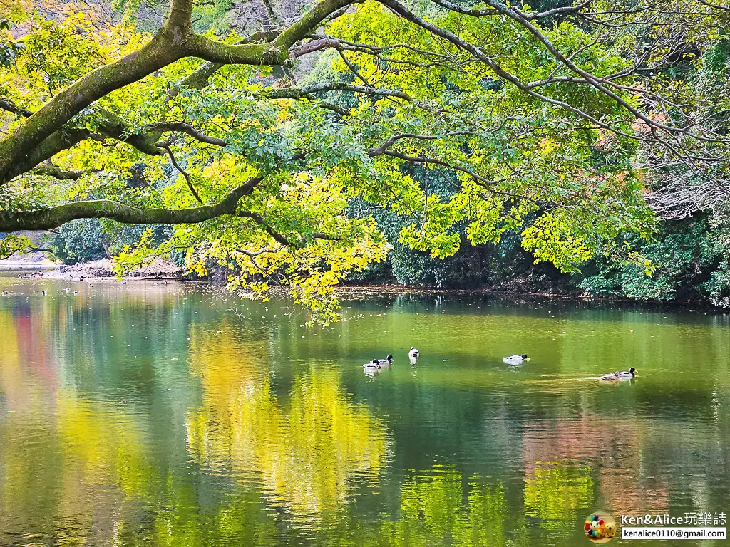 日本四國高松景點-栗林公園