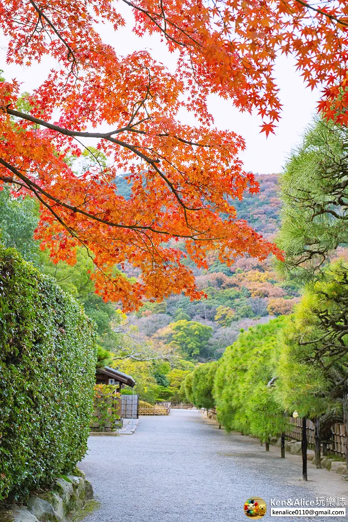 日本四國高松景點-栗林公園