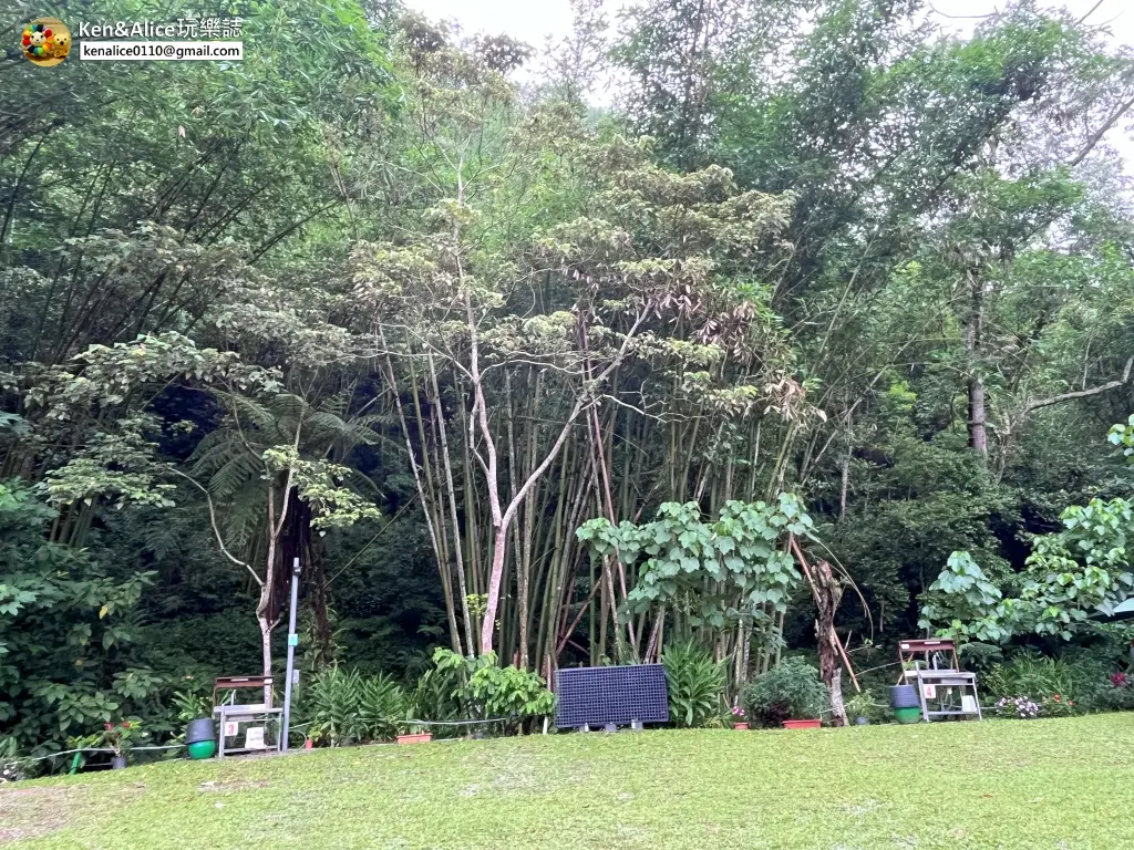 南投露營-日月潭九蛙露營區