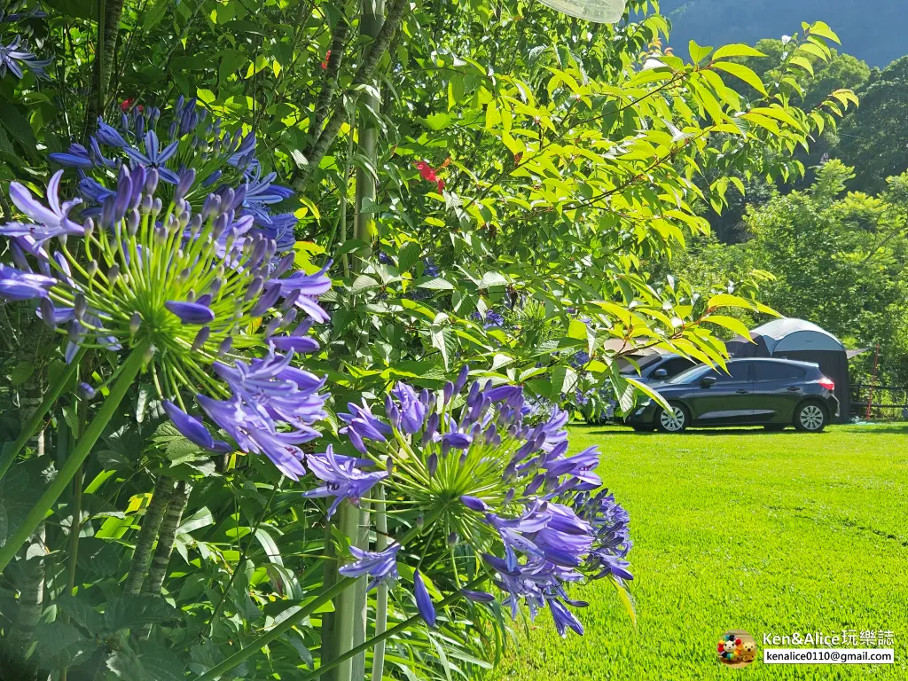 嘉義露營-阿里山營地-禾田農莊