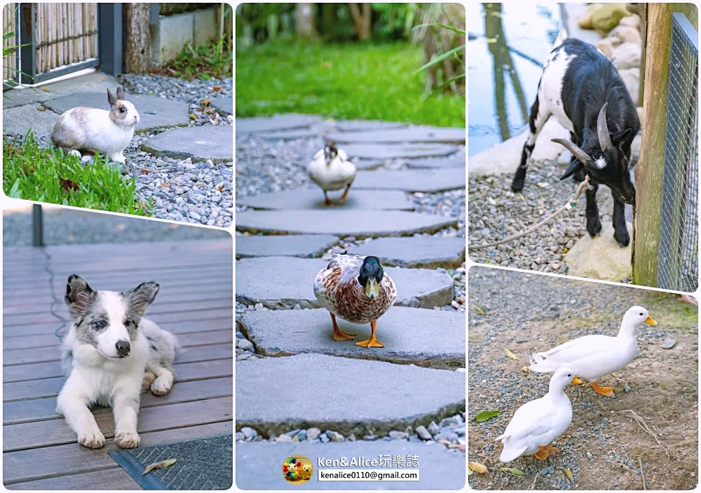 南投民宿-3JD HOME2館-花園別館