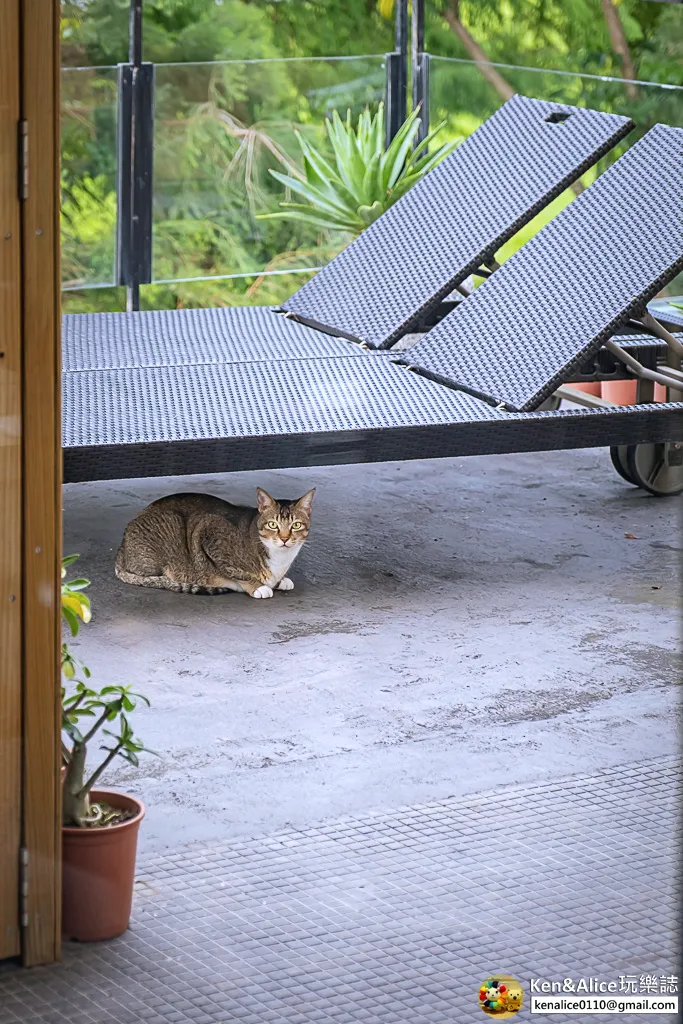 宜蘭民宿-小島VILLA包棟民宿