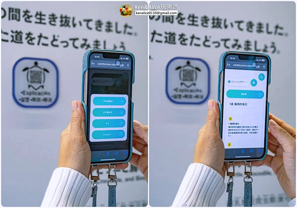 日本德島景點-日和佐海龜博物館