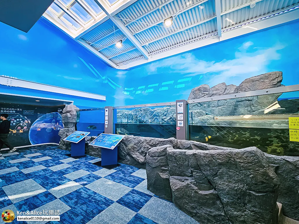 日本德島景點-日和佐海龜博物館