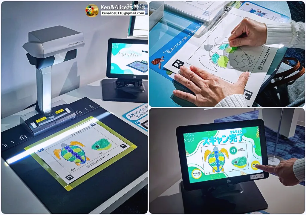 日本德島景點-日和佐海龜博物館