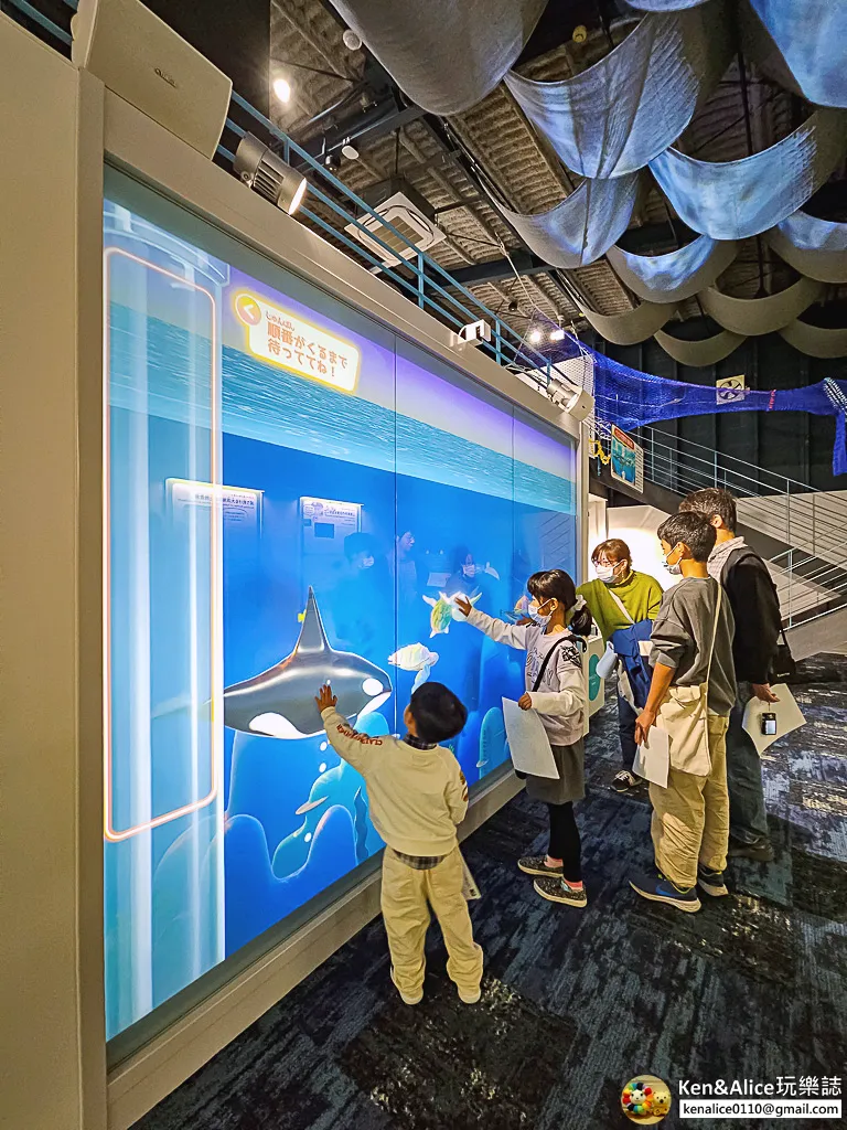 日本德島景點-日和佐海龜博物館
