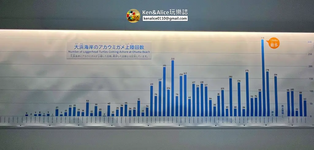 日本德島景點-日和佐海龜博物館