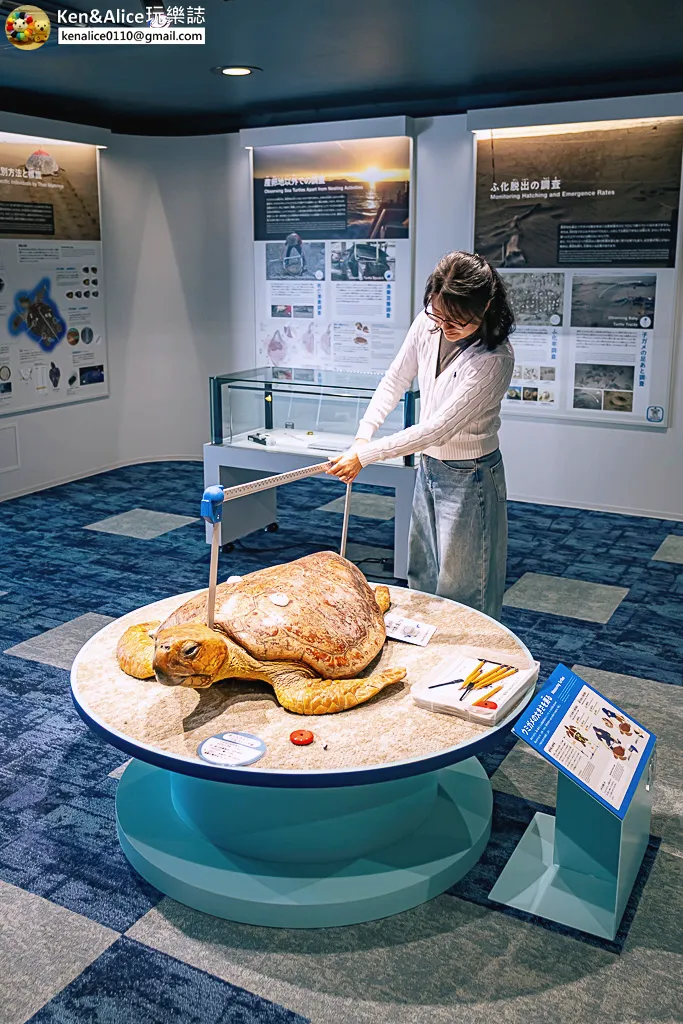 日本德島景點-日和佐海龜博物館