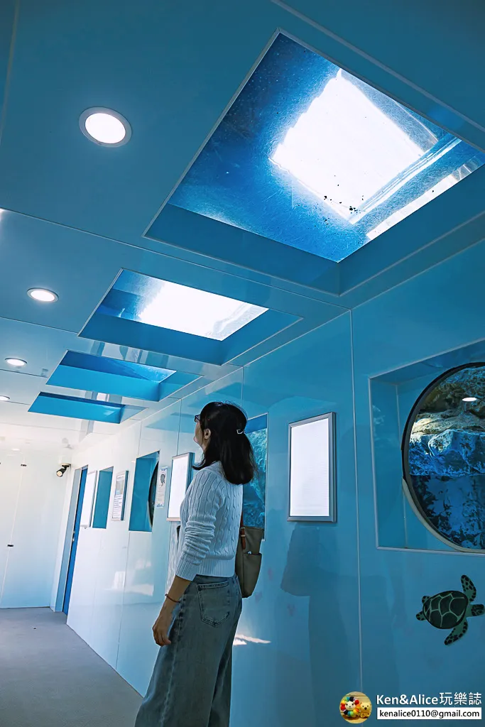 日本德島景點-日和佐海龜博物館