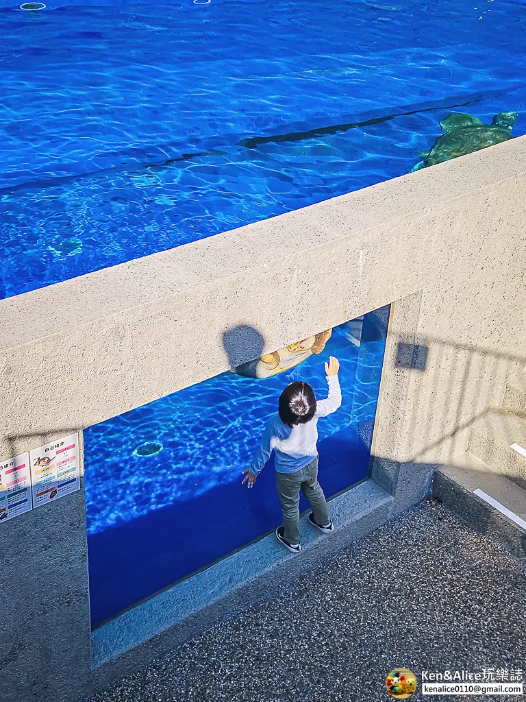 日本德島景點-日和佐海龜博物館
