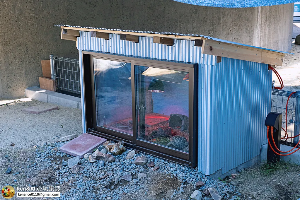 日本德島景點-日和佐海龜博物館
