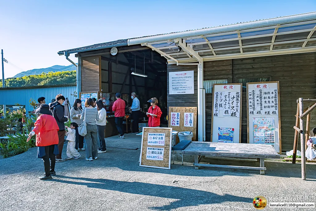 日本德島景點-松下農園採橘子柿子