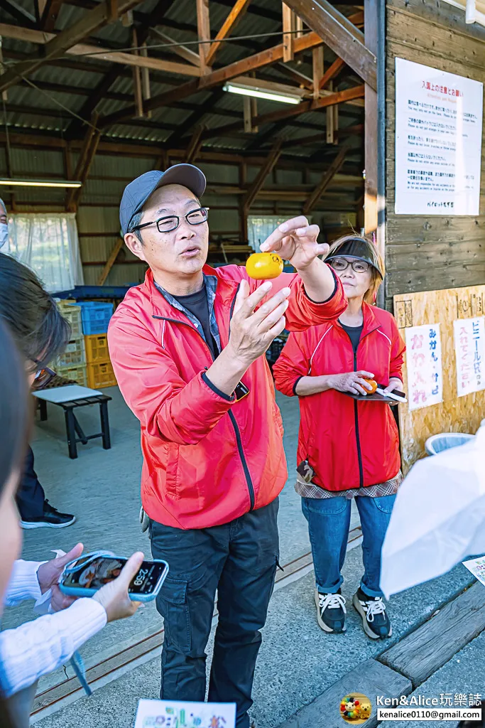 日本德島景點-松下農園採橘子柿子