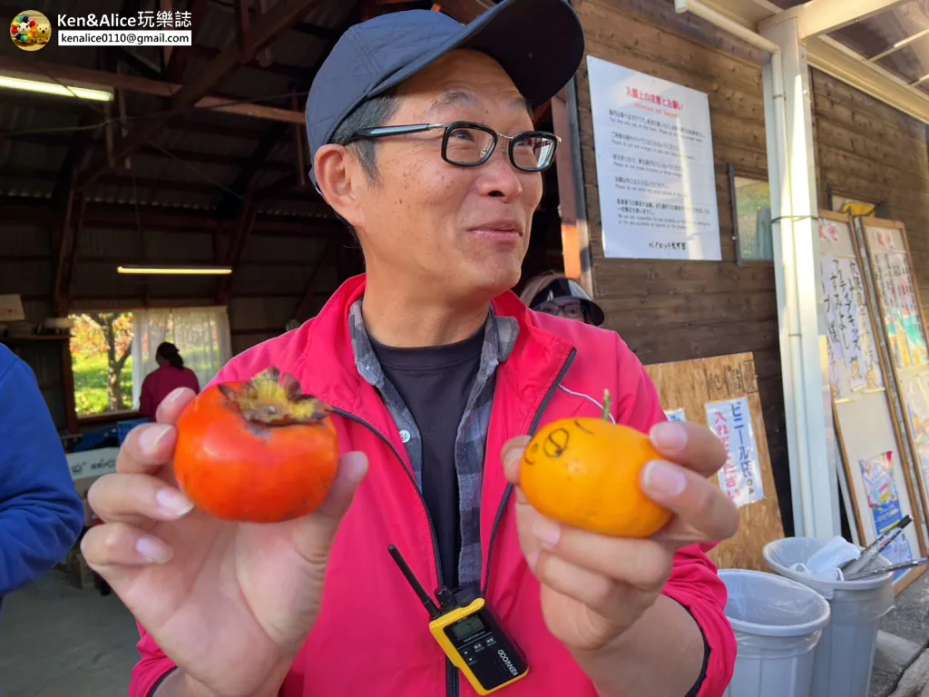 日本德島景點-松下農園採橘子柿子