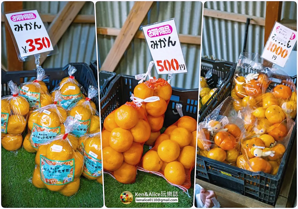日本德島景點-松下農園採橘子柿子