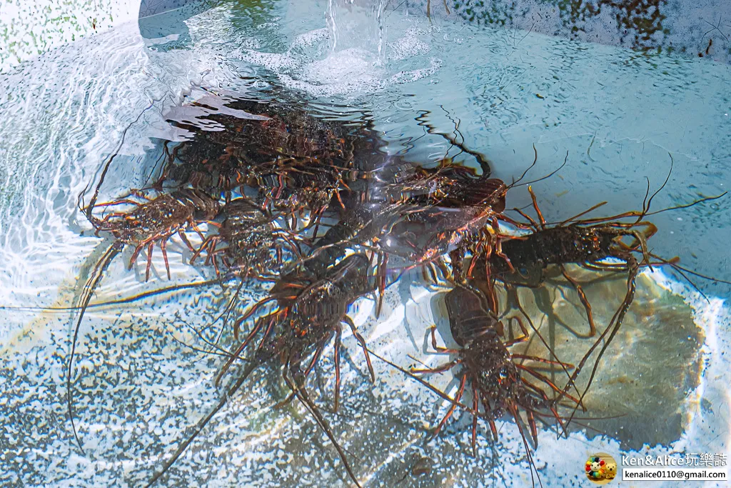 德島景點-日和佐之市美食嘉年華