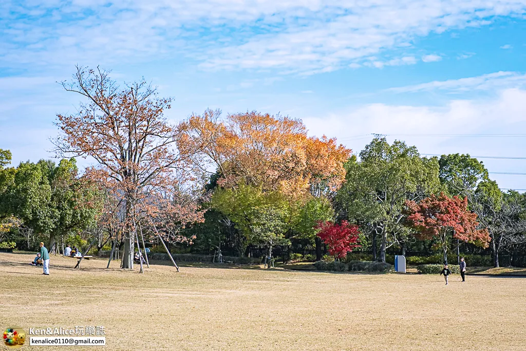 日本德島景點-明日多夢樂園