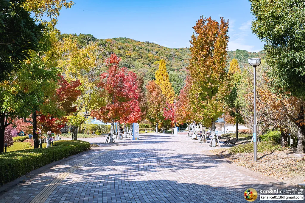 日本德島景點-明日多夢樂園