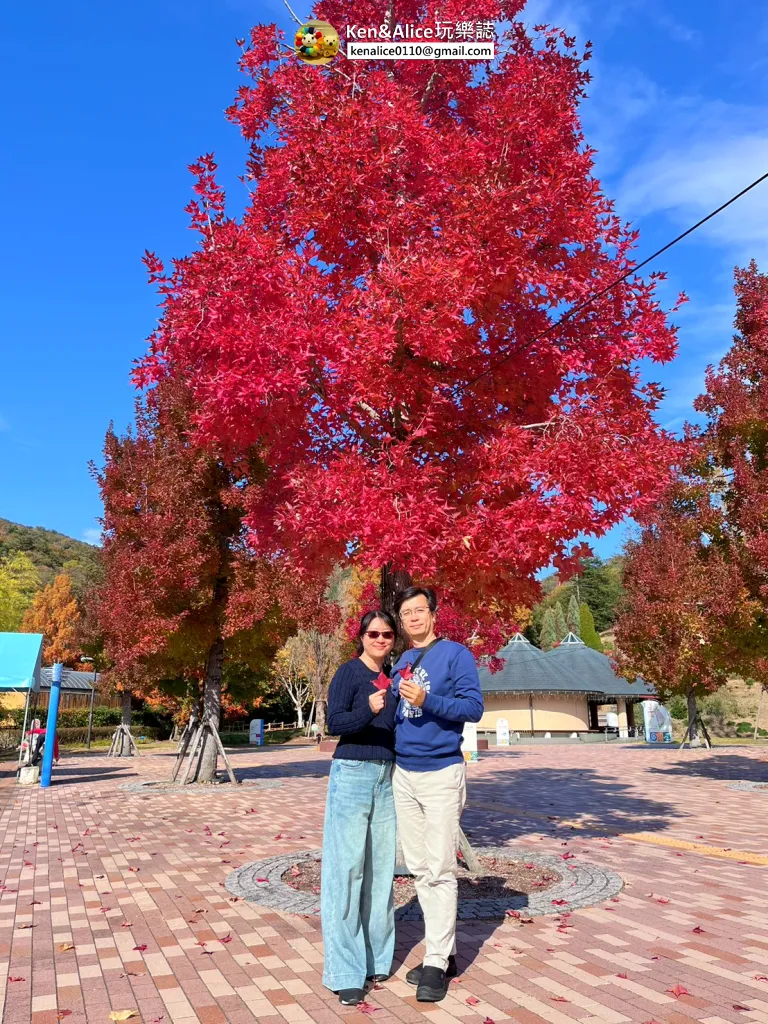 日本德島景點-明日多夢樂園