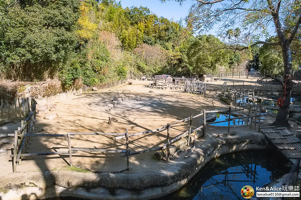德島景點-德島動物園