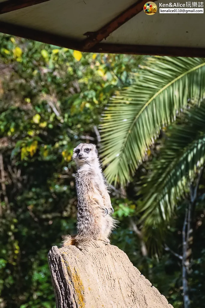 德島景點-德島動物園