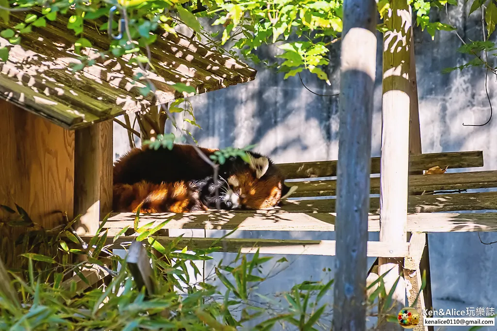 德島景點-德島動物園