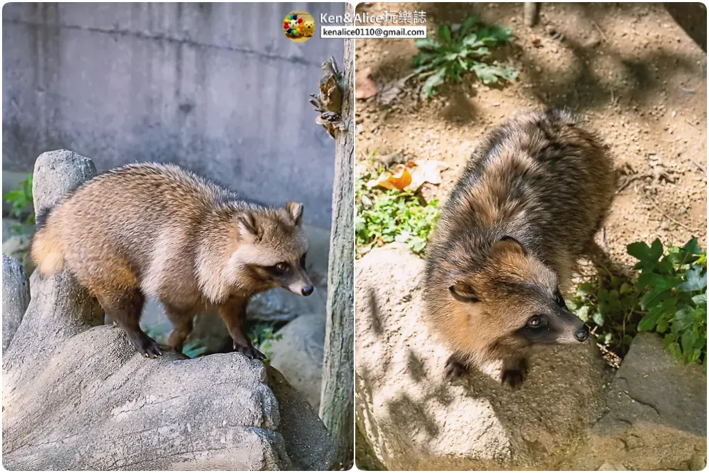德島景點-德島動物園