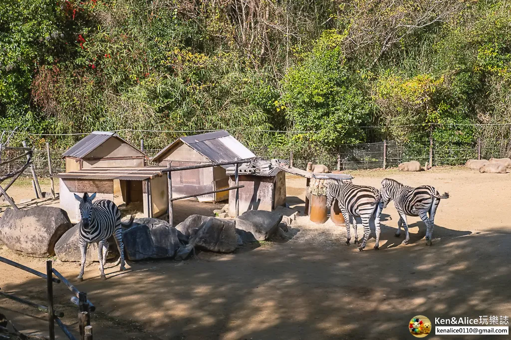 德島景點-德島動物園