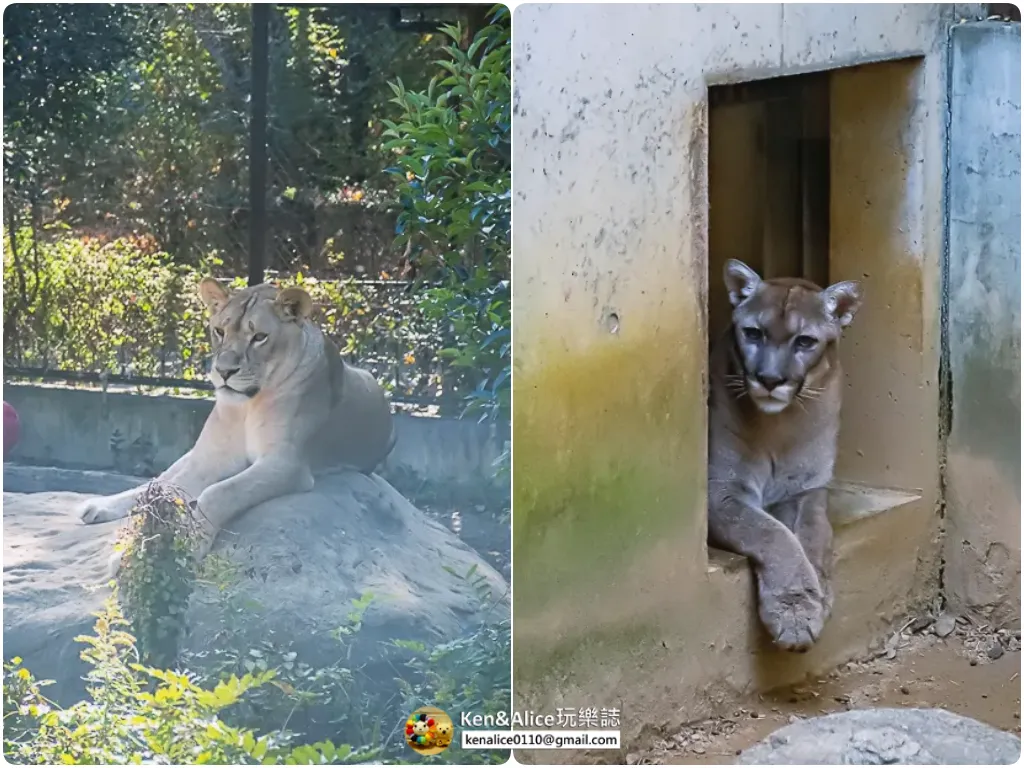 德島景點-德島動物園