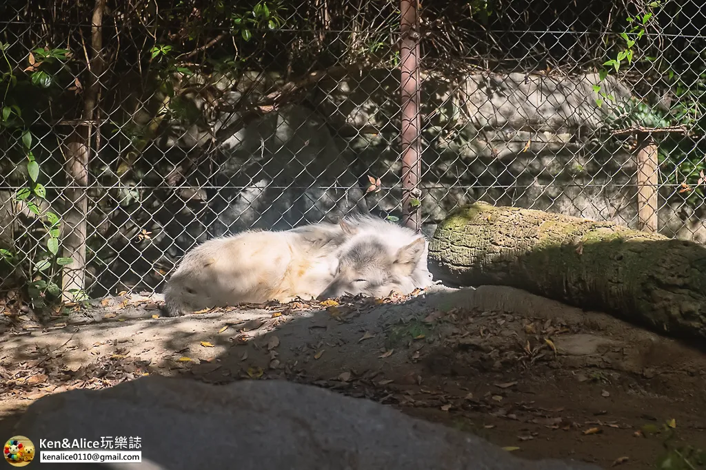 德島景點-德島動物園