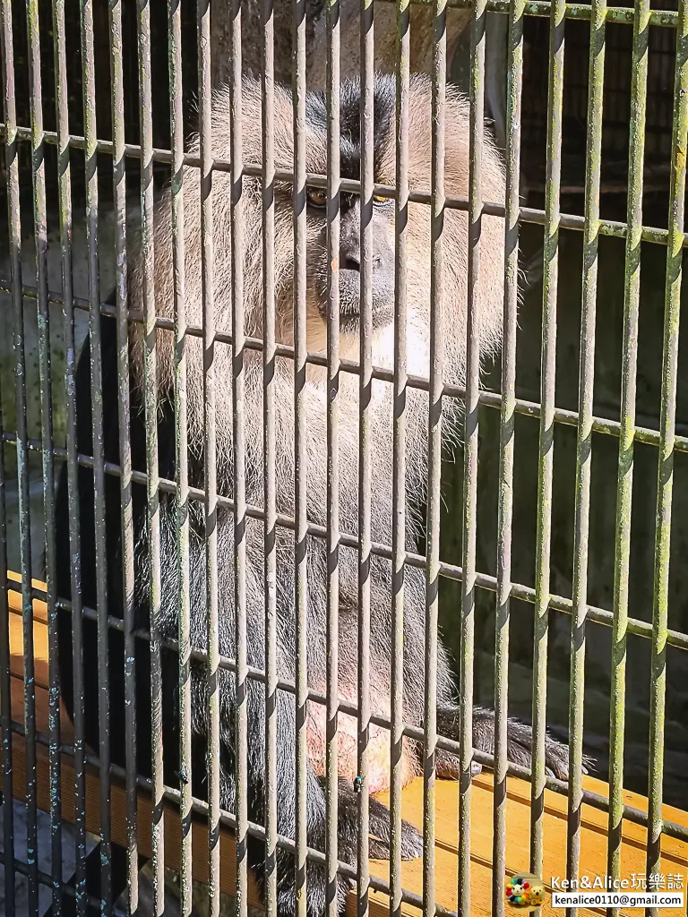 德島景點-德島動物園