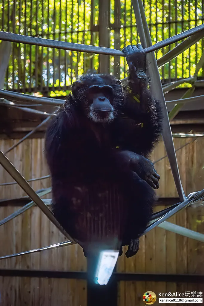 德島景點-德島動物園