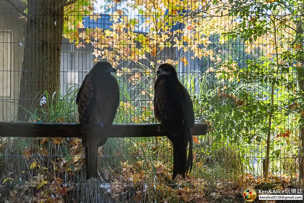 德島景點-德島動物園
