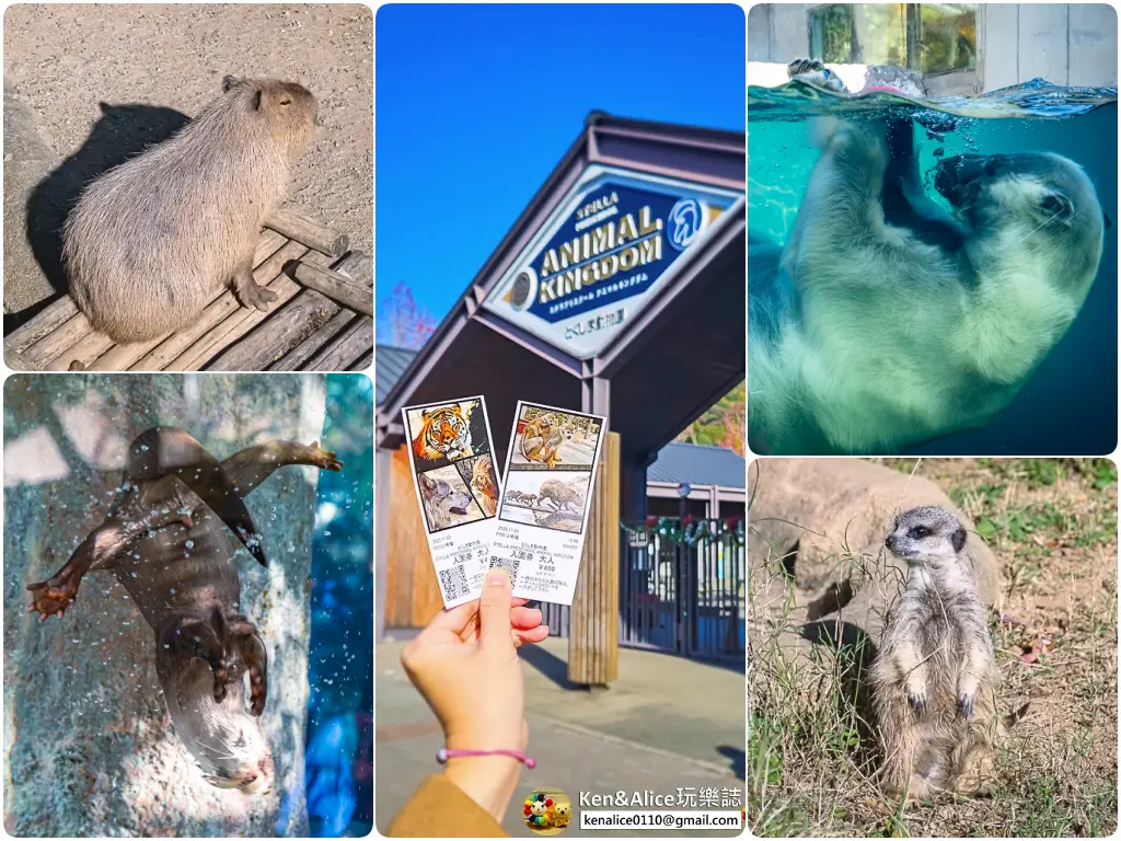 德島景點-德島動物園