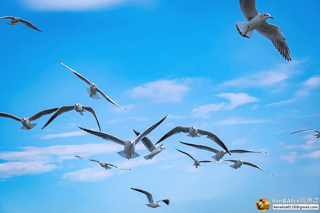 德島景點-葫蘆島沙發船