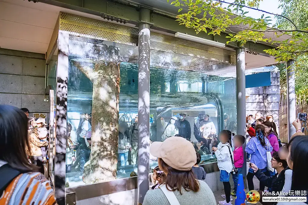 德島景點-德島動物園