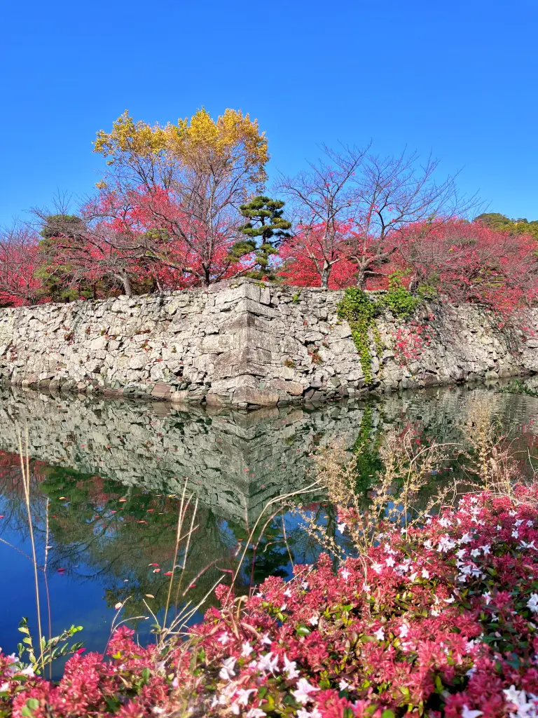 日本德島景點-德島中央公園