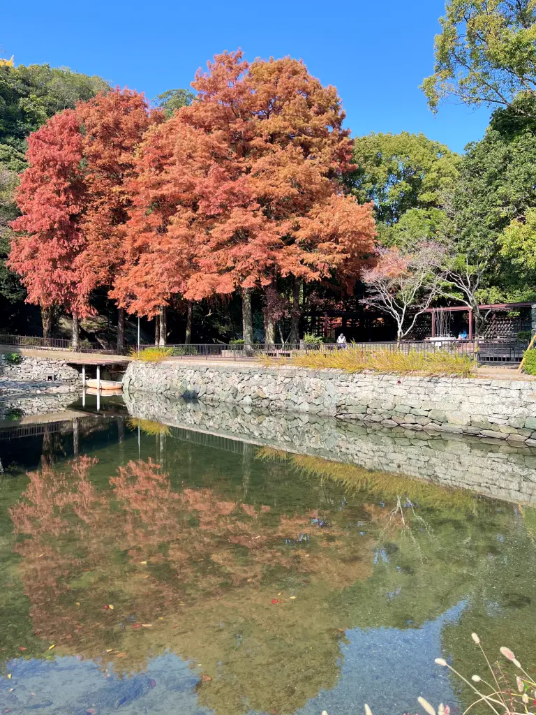 日本德島景點-德島中央公園