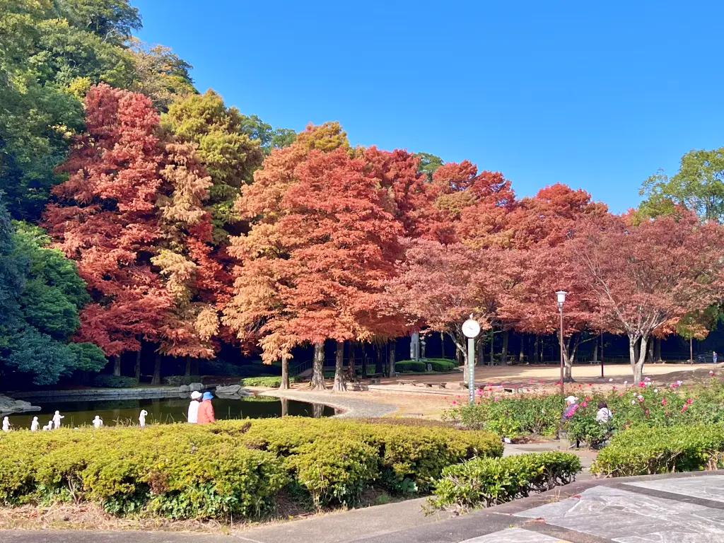 日本德島景點-德島中央公園