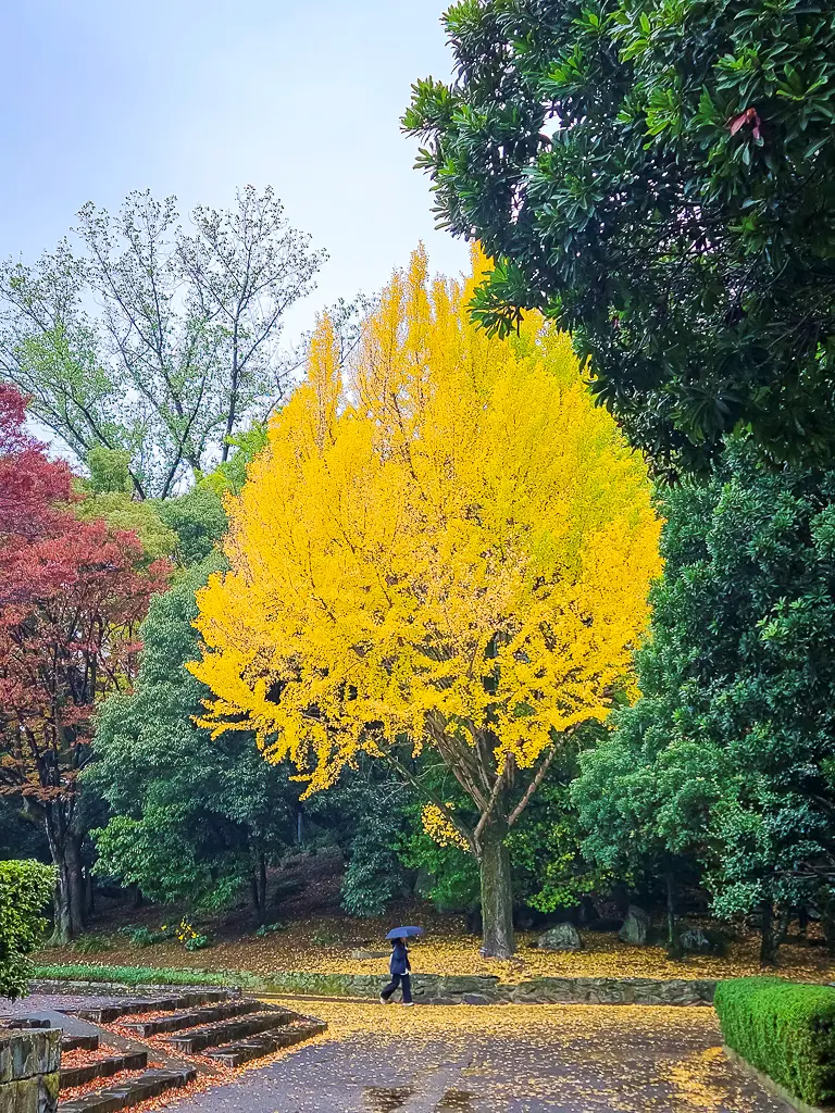日本德島景點-德島中央公園